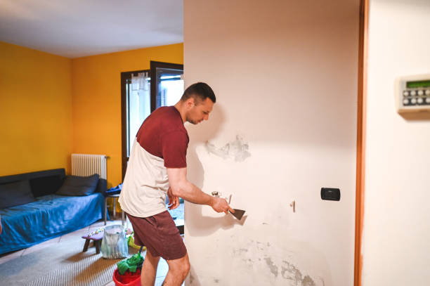 Best Localized Mold Remediation (e.g., coastal areas, humid climates) in Arnold Line, MS