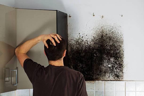 Trusted Arnold Line, MS Mold Remediation Experts